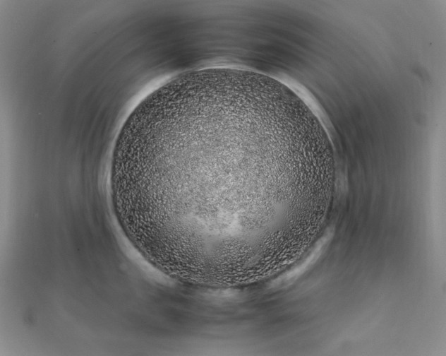 X0000112110957200908041538