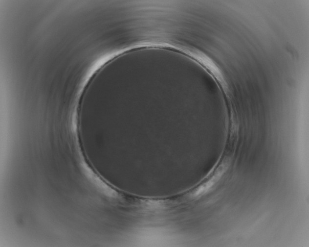 X0000112110958200908041538