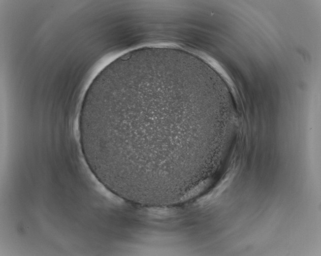 X0000112110959200908041538