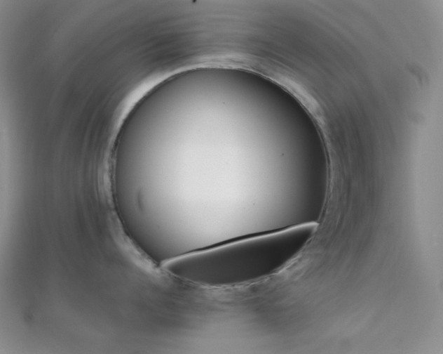 X0000112110960200908041538