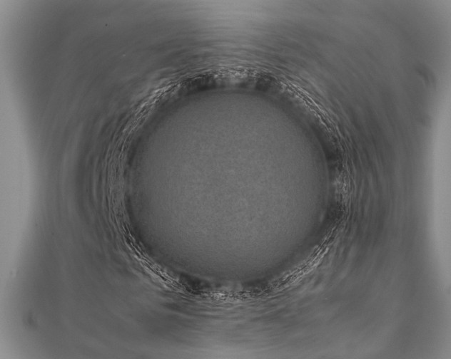 X0000112110961200908041538