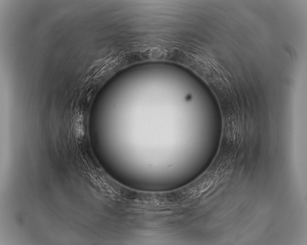 X0000112110962200908041538