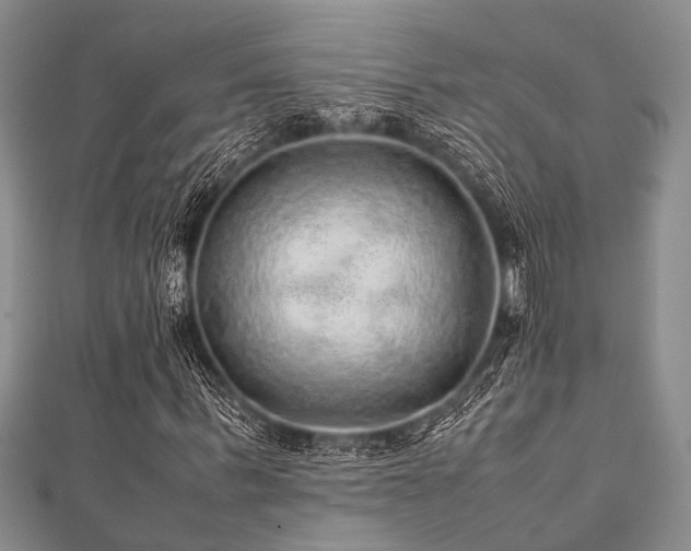 X0000112110963200908041538