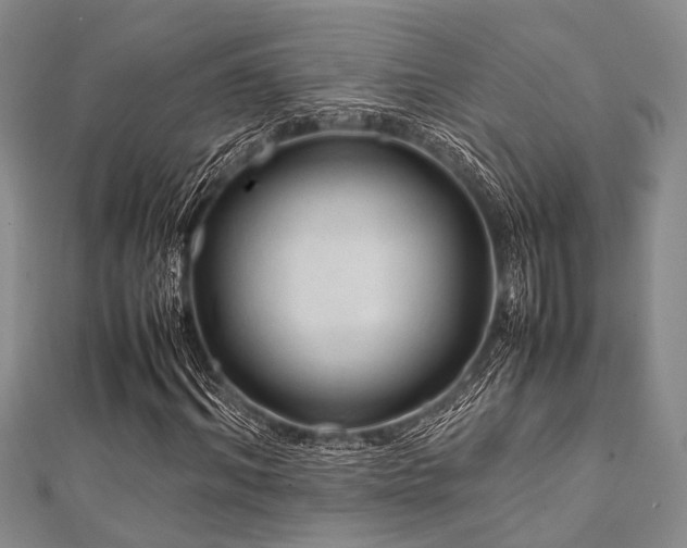 X0000112110964200908041538