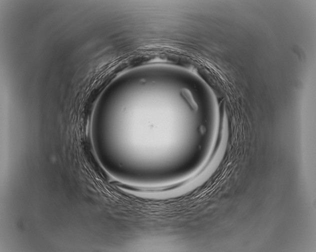 X0000112110965200908041538