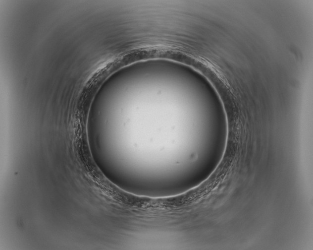 X0000112110967200908041538