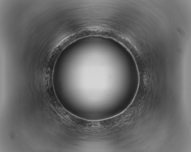 X0000112110968200908041538