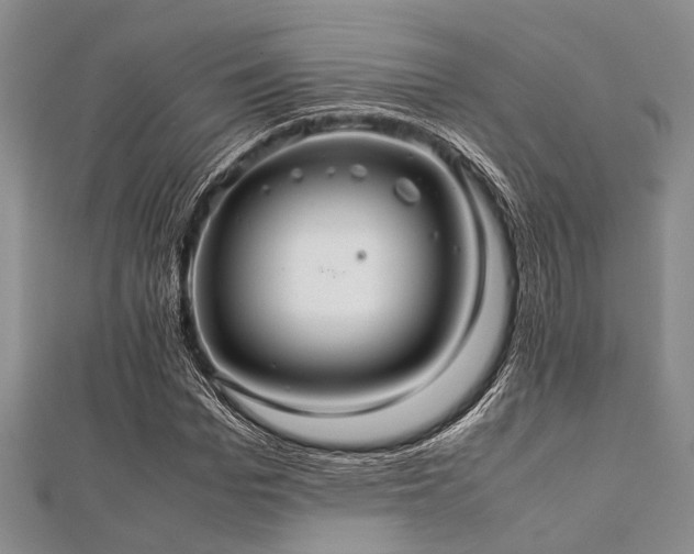 X0000112110969200908041538