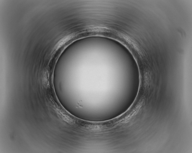 X0000112110970200908041538