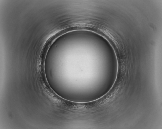 X0000112110971200908041538