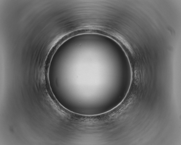 X0000112110972200908041538