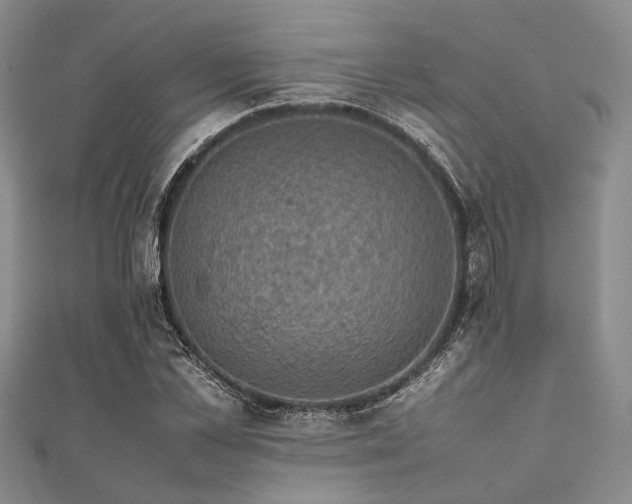 X0000112110973200908041538