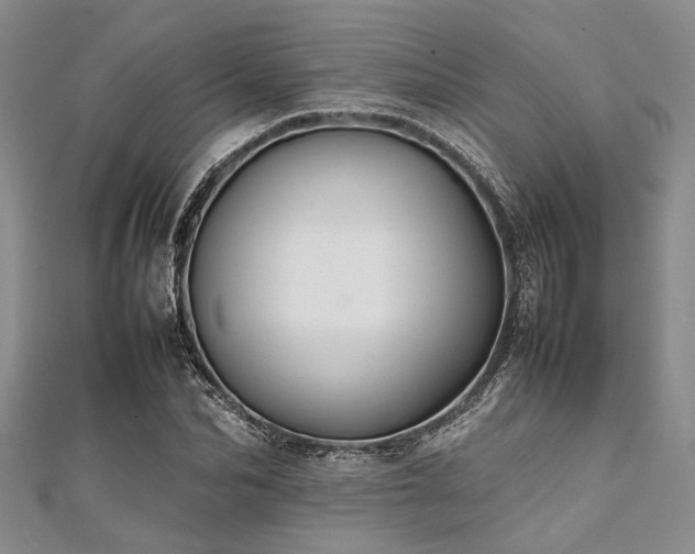 X0000112110974200908041538