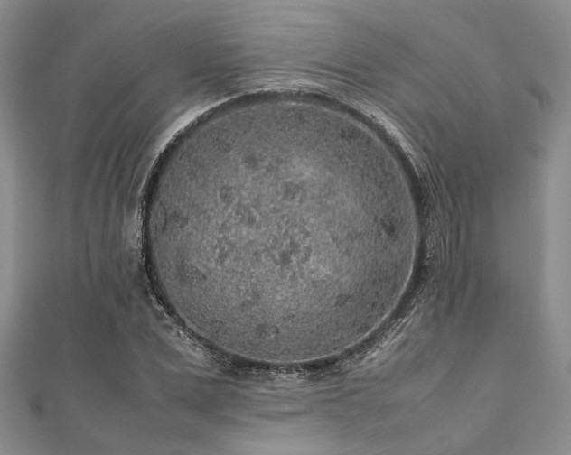 X0000112110975200908041538