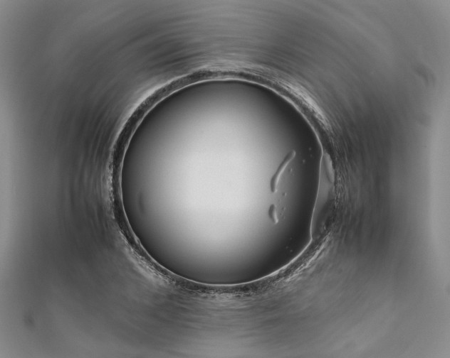 X0000112110976200908041538