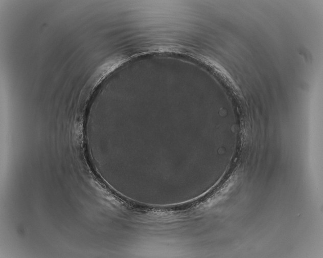 X0000112110977200908041538