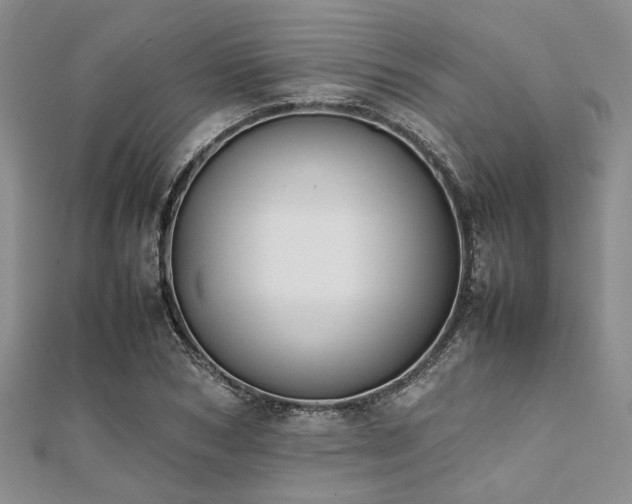 X0000112110978200908041538