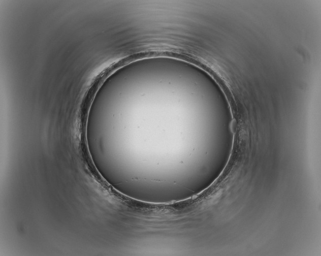 X0000112110979200908041538