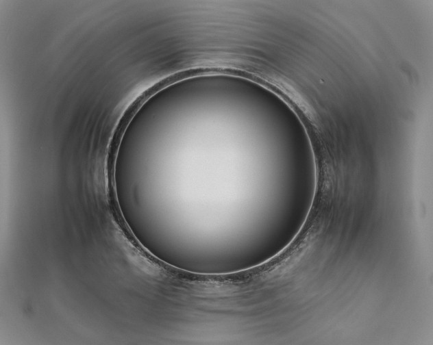 X0000112110980200908041538