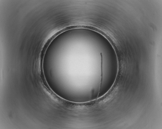 X0000112110982200908041538