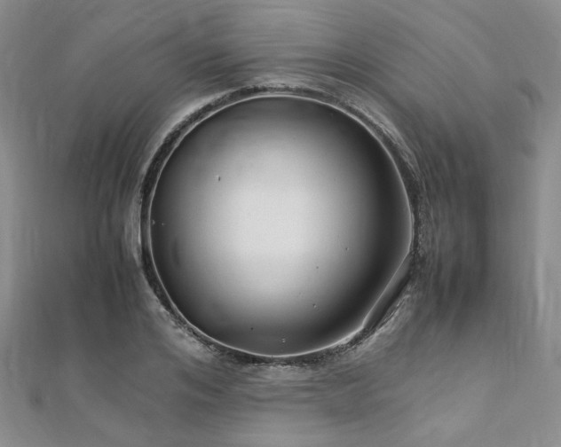 X0000112110984200908041537