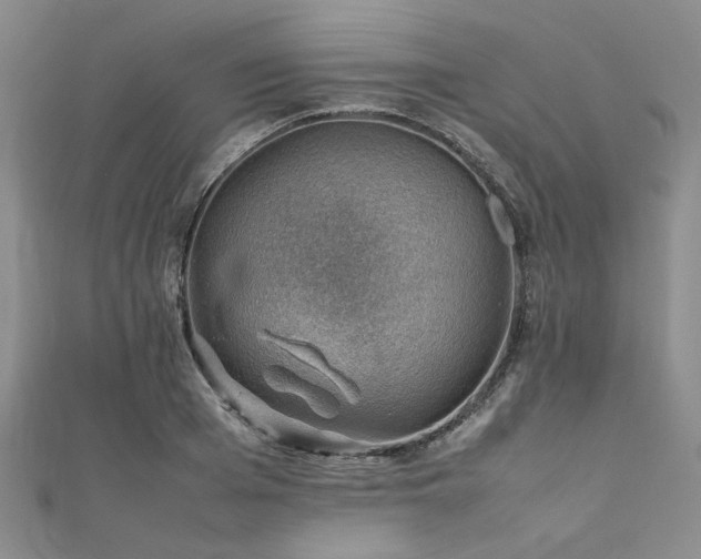 X0000112110985200908041537