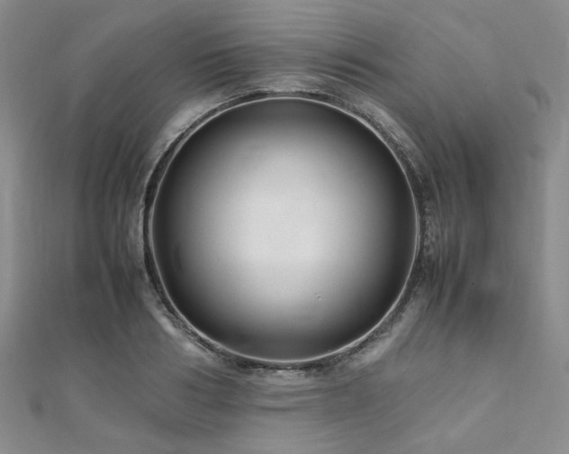 X0000112110986200908041537