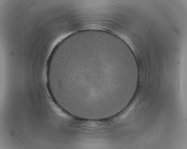 X0000112110987200908041537