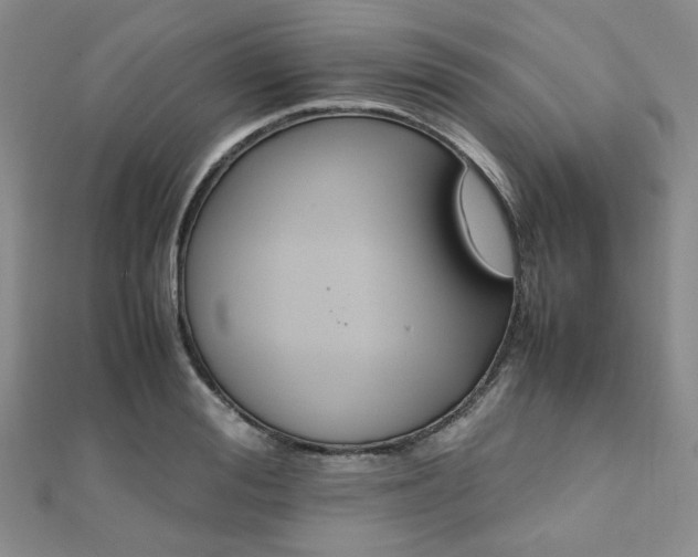 X0000112110988200908041537