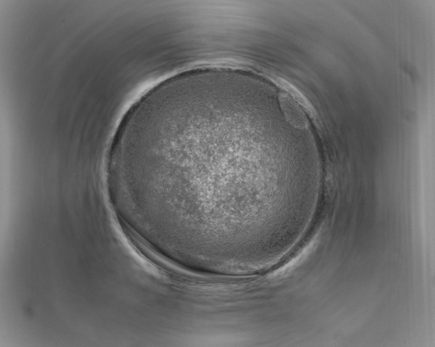 X0000112110989200908041537