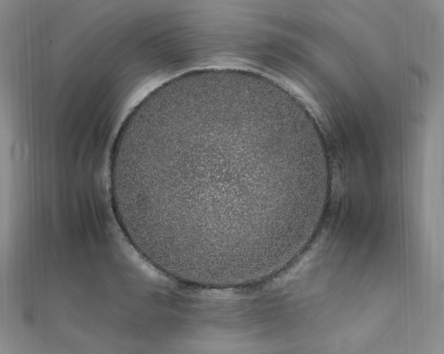 X0000112110990200908041537