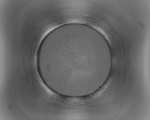 X0000112110991200908041537