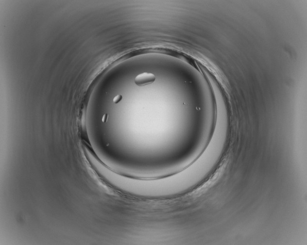 X0000112110993200908041537