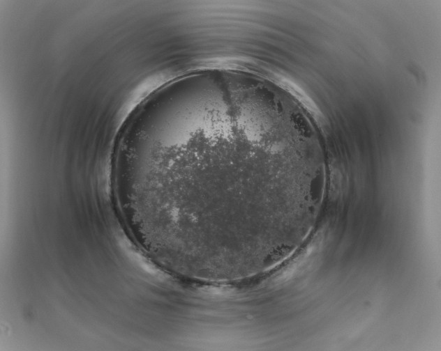 X0000112110994200908041537