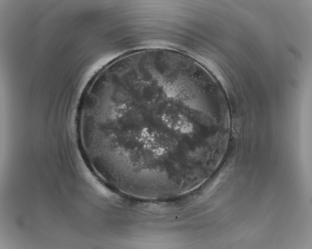 X0000112110995200908041537