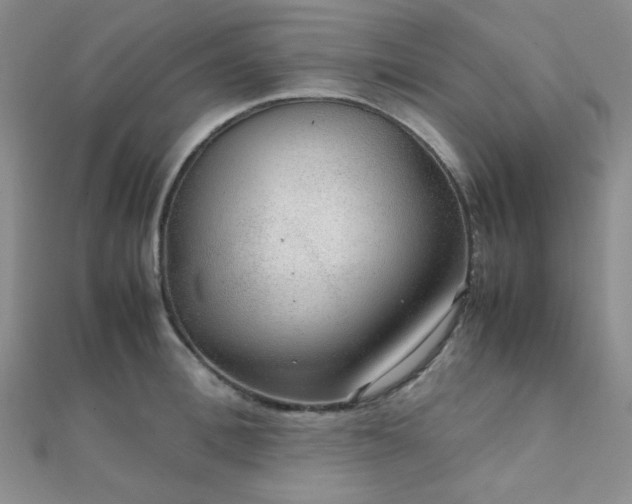 X0000112110996200908041537