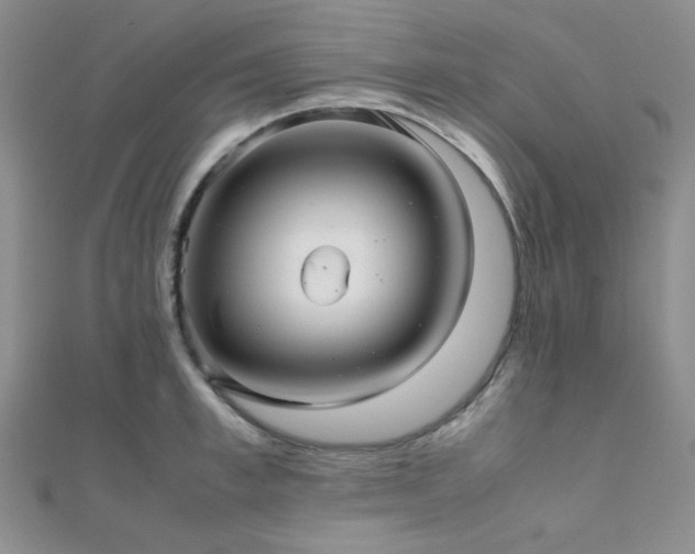 X0000112110997200908041537