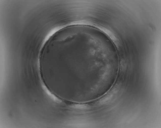 X0000112110998200908041537