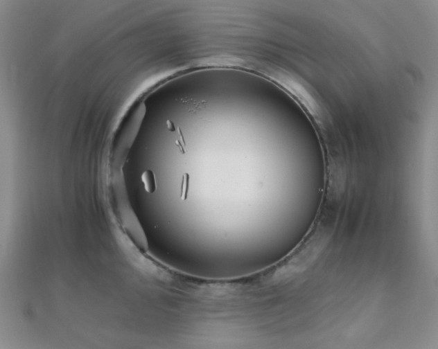 X0000112111000200908041537