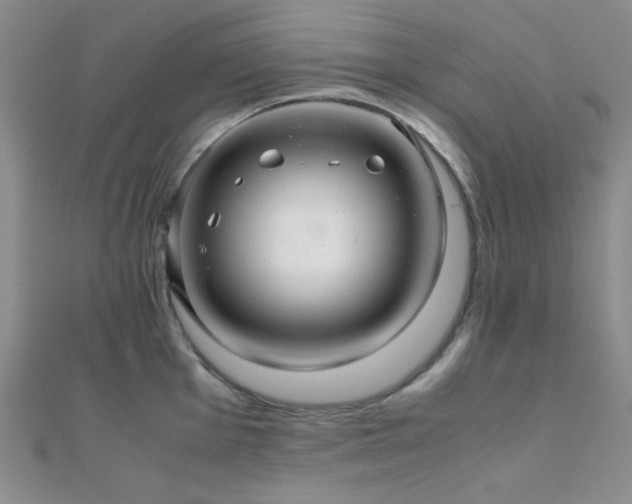 X0000112111001200908041537