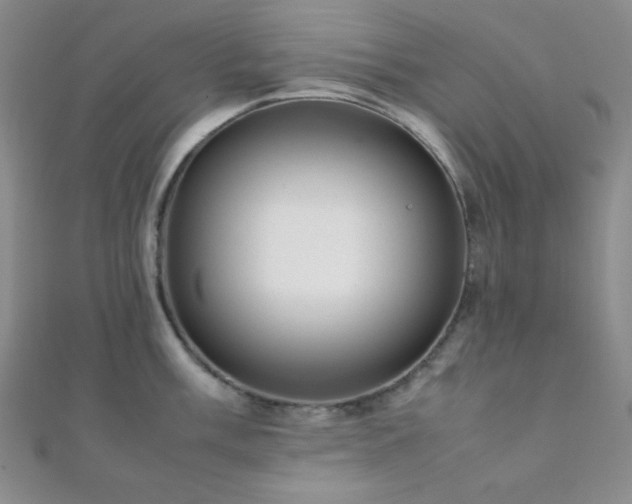 X0000112111003200908041537