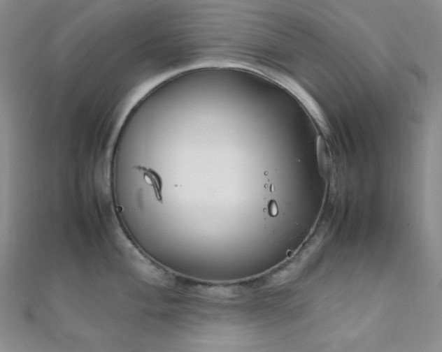 X0000112111004200908041537