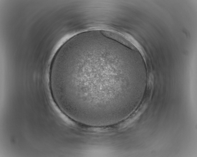 X0000112111005200908041537