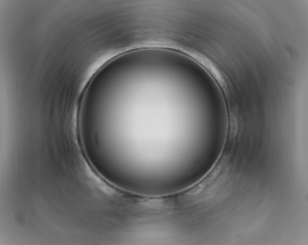 X0000112111006200908041537