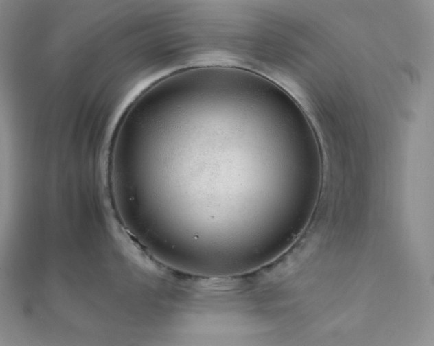 X0000112111008200908041537