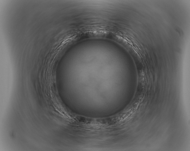 X0000112111009200908041536