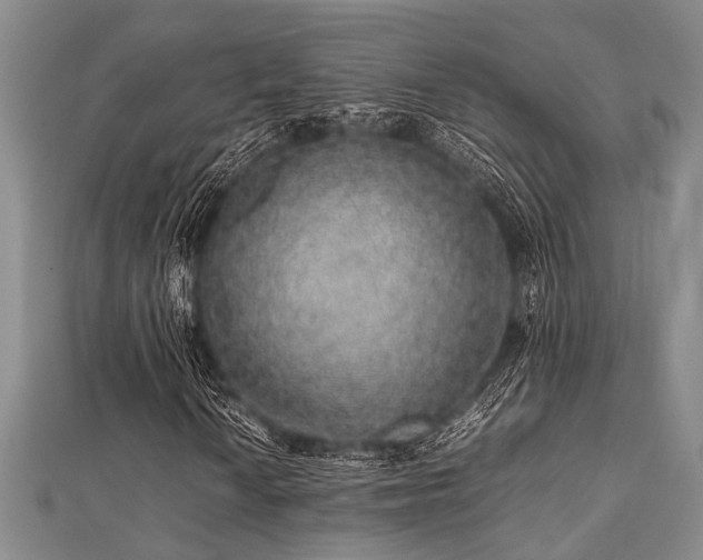 X0000112111010200908041536