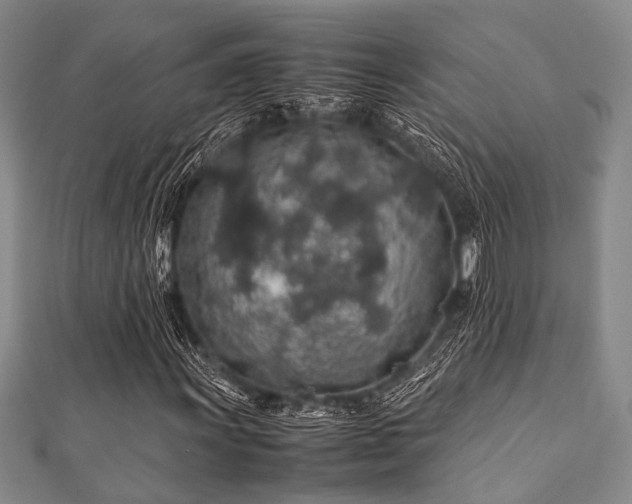 X0000112111011200908041536