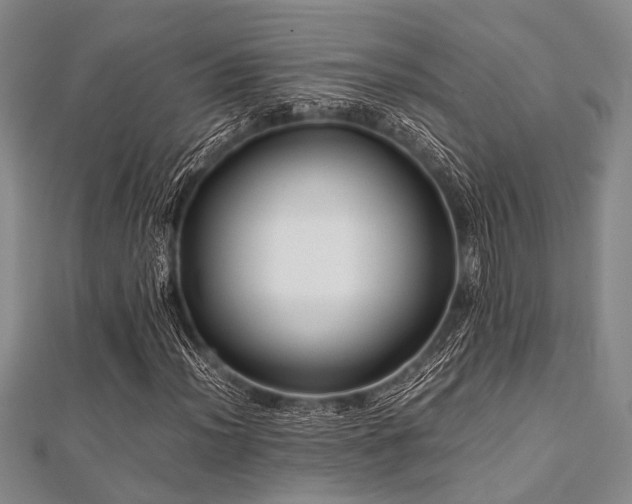 X0000112111012200908041536