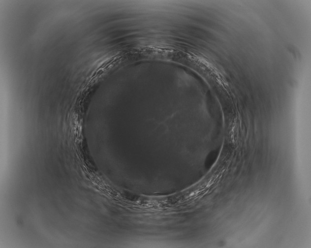 X0000112111013200908041536